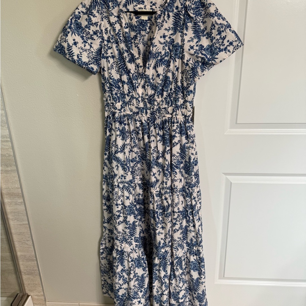 Anthropologie Somerset Blue and White Floral Maxi Dress